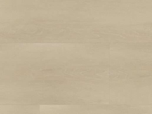 Ambiant - Wide board click SRC polar