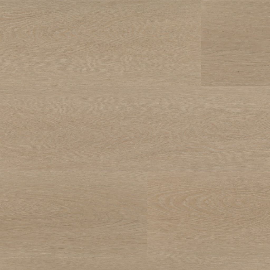 6511161219_thumb_85de