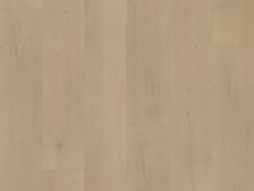 Belakos - Palazzo 770